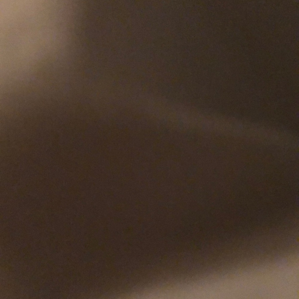 Meet your Posher, Daphne